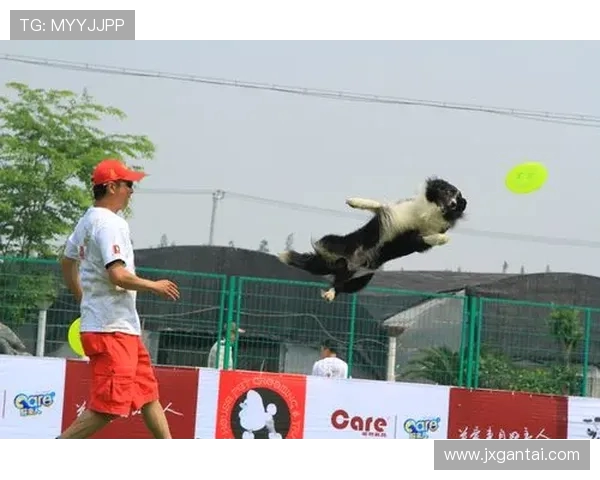 武汉飞盘队的拼搏与成长:一段不平凡的奋斗历程纪实 武汉飞盘队的拼搏与成长:一段不平凡的奋斗历程纪实