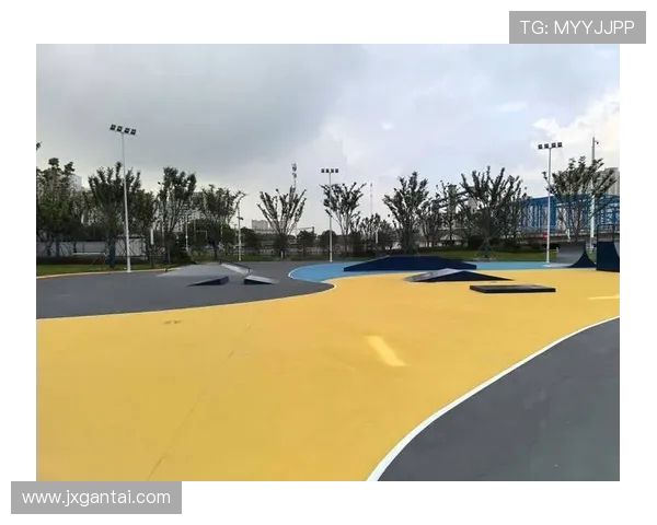 西安滑板队在极限运动嘉年华中的表现与意识探讨