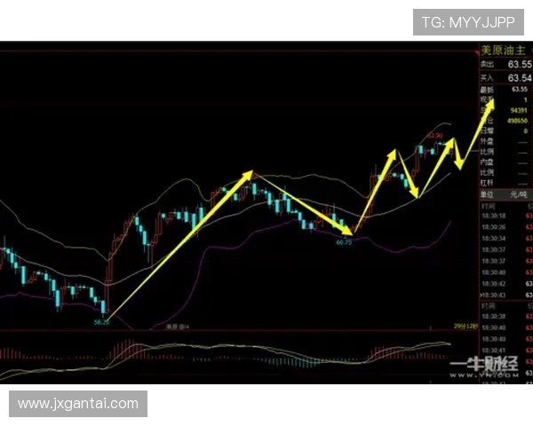 日本与委内瑞拉热身赛精彩对决分析及赛后点评